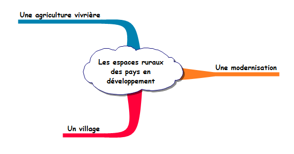 carte mentale notes