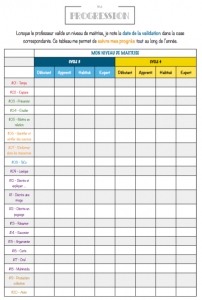 Grille évaluation niveau maitrise