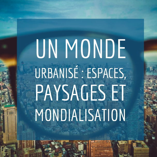 Parcours 2 : Pourquoi certaines métropoles sont à l’écart de la mondialisation ?